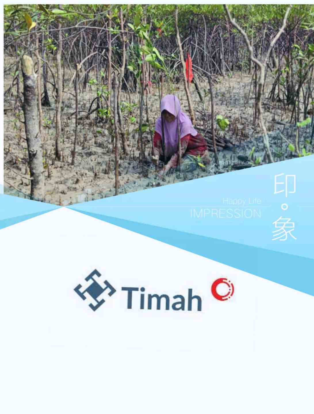 Kolaborasi Jaga Ekosistem Pesisir Bersama Masyarakat, PT Timah Tbk Tanam 12 Ribu Bibit Mangrove di Kundur