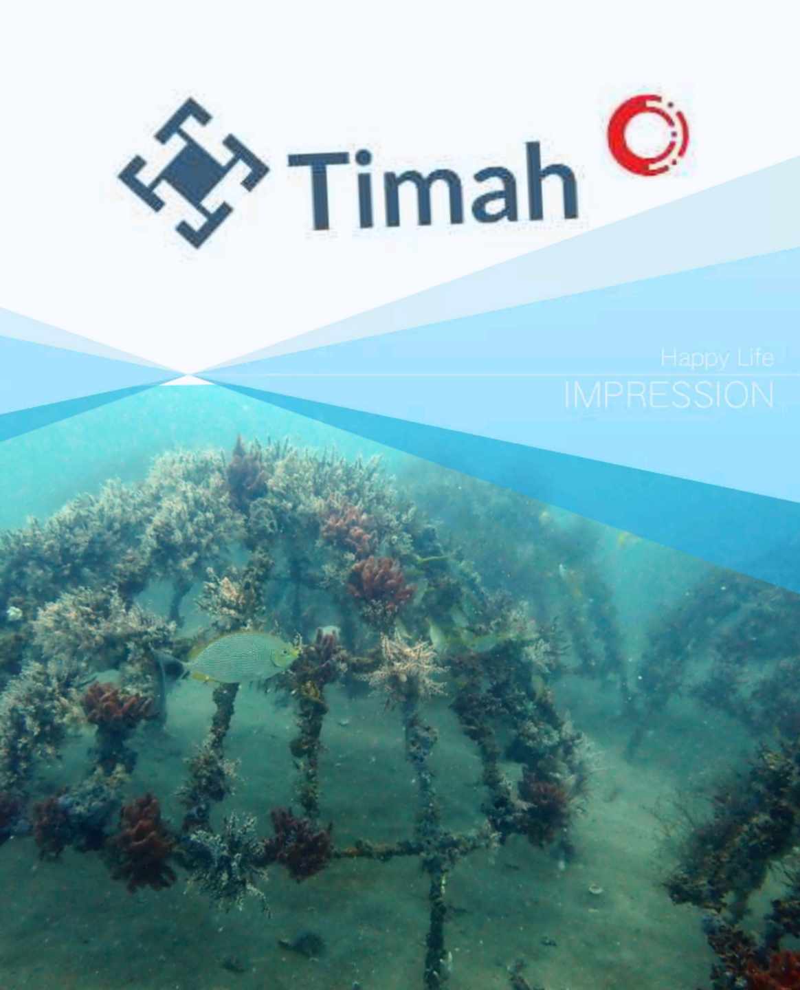 Artificial Reef: Upaya PT Timah Tbk Merehabilitasi Ekosistem Laut di Rambak Membuahkan Hasil