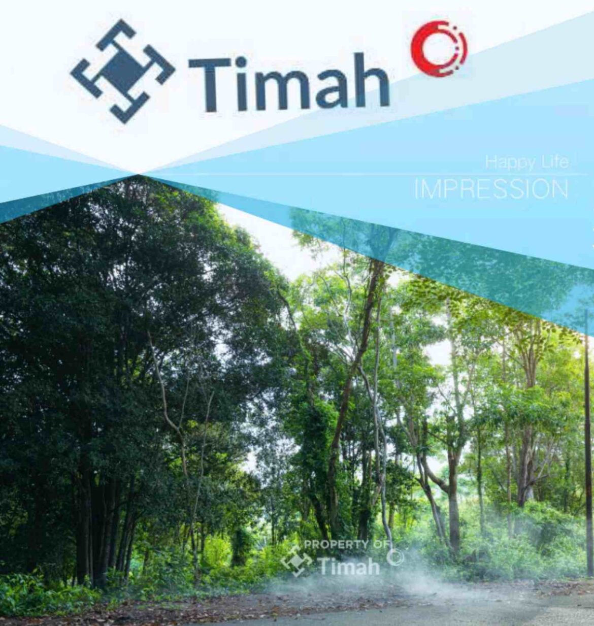 Konservasi Hutan Kehati, Langkah Nyata PT Timah Menuju Keberlanjutan
