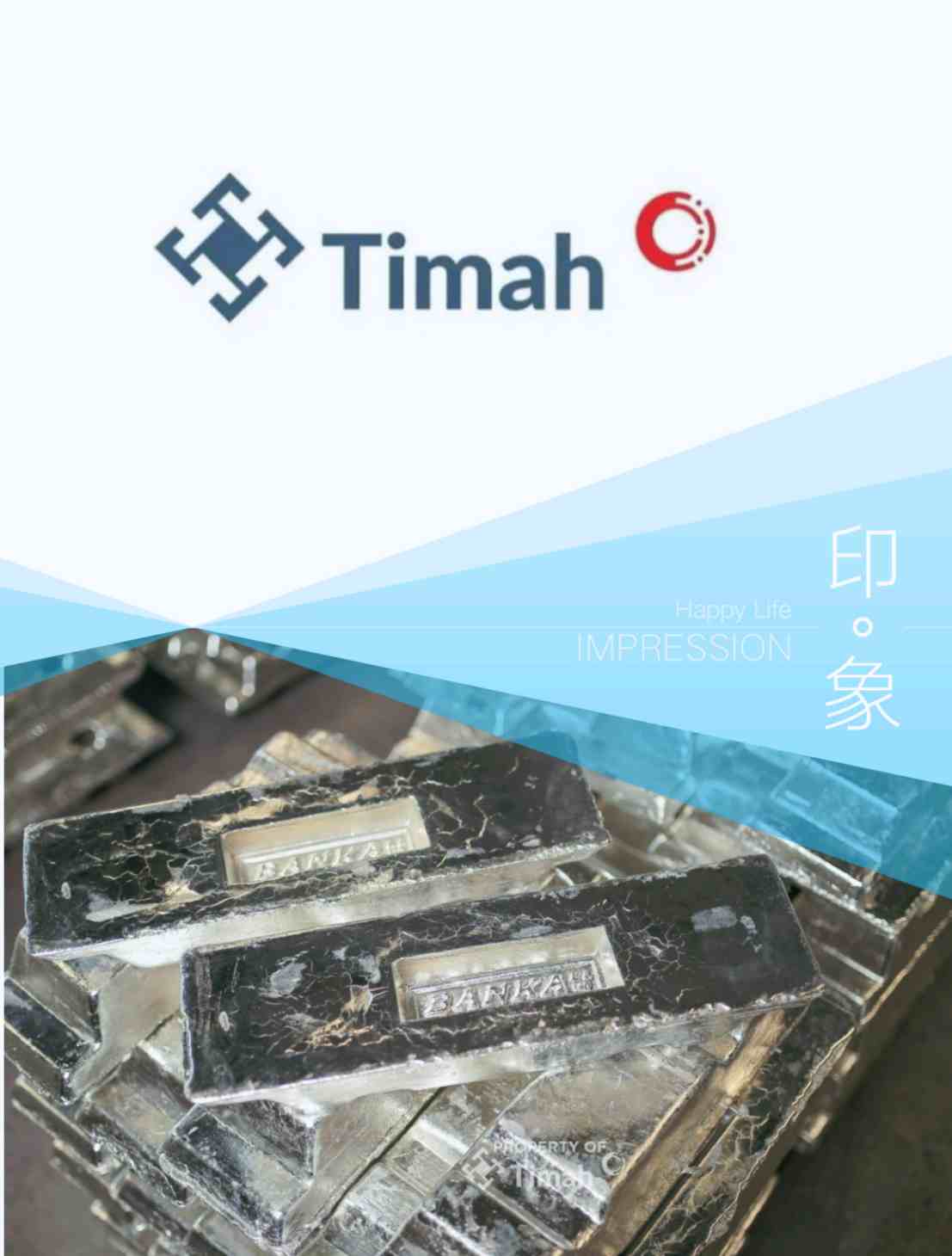 PT TIMAH Tbk (TINS) Cetak Laba Bersih Rp116,86 Miliar di Kuartal I 2025, Lampaui Target 120%