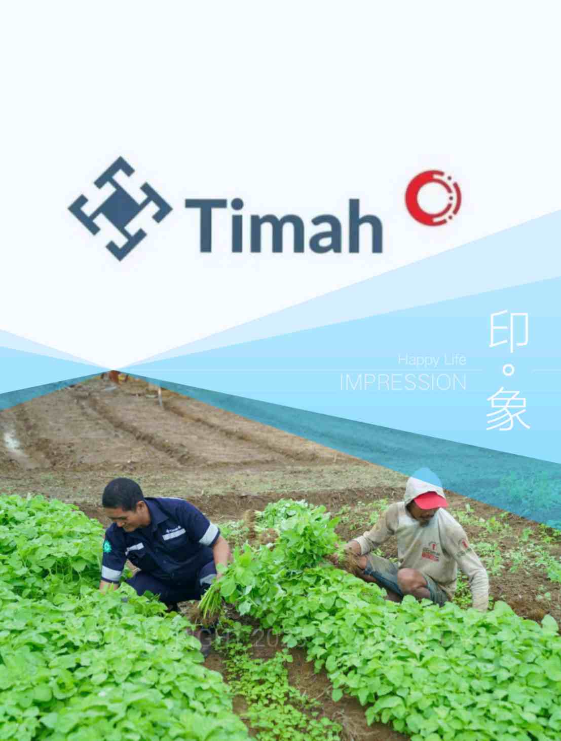 Inisiatif PT Timah Dalam Mendukung Sektor Pertanian, Mendukung Program Ketahanan Pangan