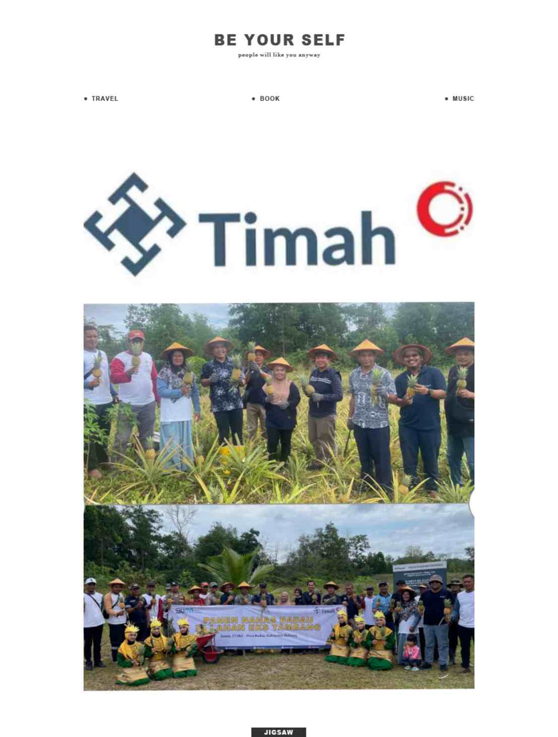 Kolaborasi PT Timah dan Kelompok Tani Air Jelutung Desa Badau Sulap Lahan Bekas Tambang Jadi Kebun Nanas 