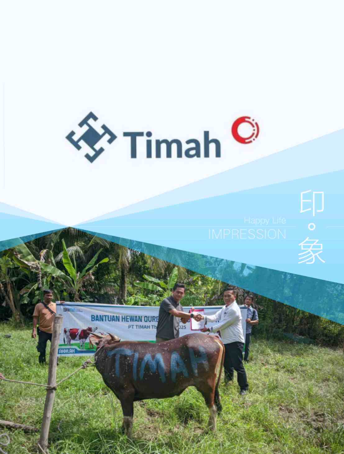 PT Timah Distribusikan Hewan Kurban ke Pulau dan Desa Terpencil, Berbagi Kebahagiaan dengan Masyarakat di Kabupaten Kepulauan Meranti 