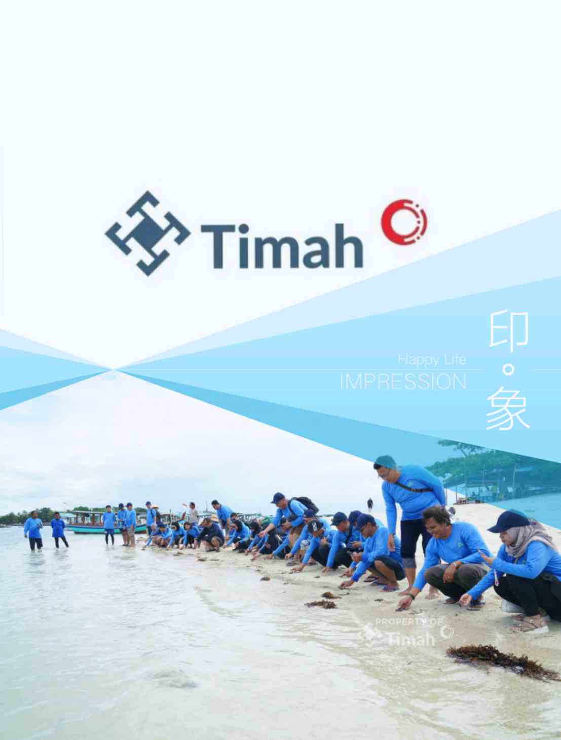 Dukung Pariwisata dan Ekosistem Laut, PT Timah Tbk Bersama AAI Sumbagsel Lepasliar Tukik Sisik di Pulau Kelayang 
