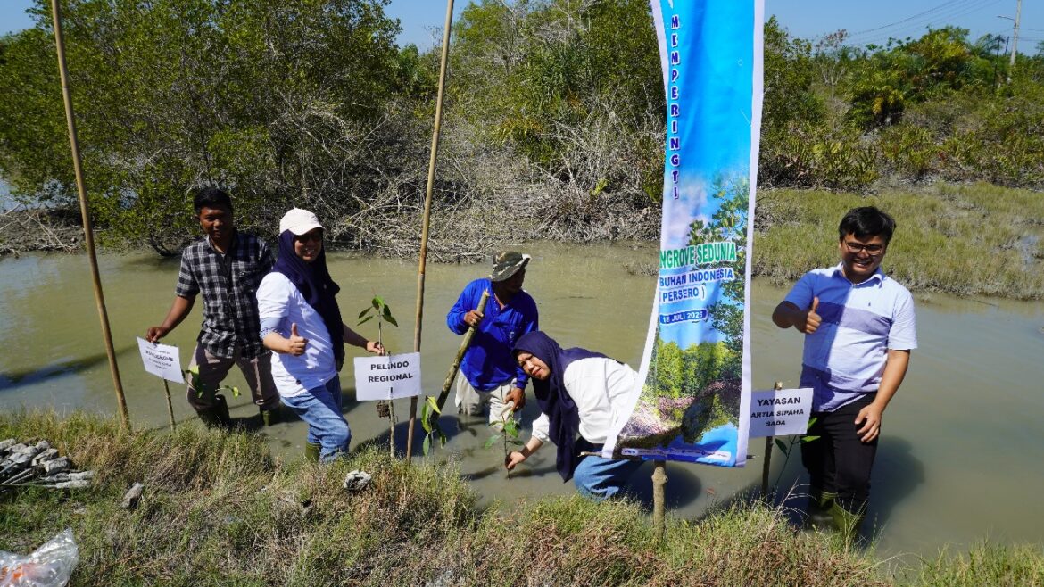 Pelindo Regional 1 Tanam Mangrove Di Pesisir Kabupaten Batu Bara Dalam Rangka Peringati Hari Mangrove Sedunia