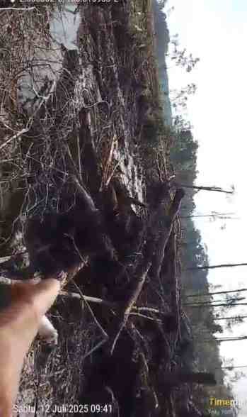 Lahan Petani Dirampas,  Bupati Bangka Selatan Diminta Turun Tangan: “Jangan Hanya Main TikTok,   Tegakkan Perda!”   