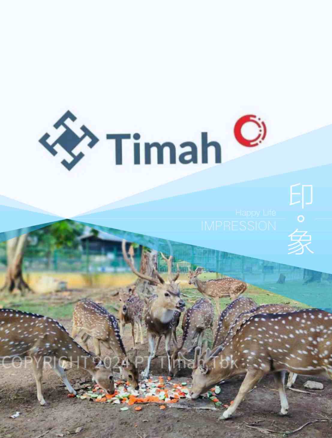 Lindungi Satwa Endemik, PT Timah Gelar Program Keanekaragaman Hayati dan Inisiatif Penyelamatan Satwa Liar